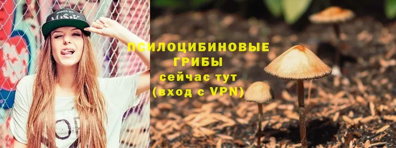 Галлюциногенные грибы MAGIC MUSHROOMS  Чкаловск 